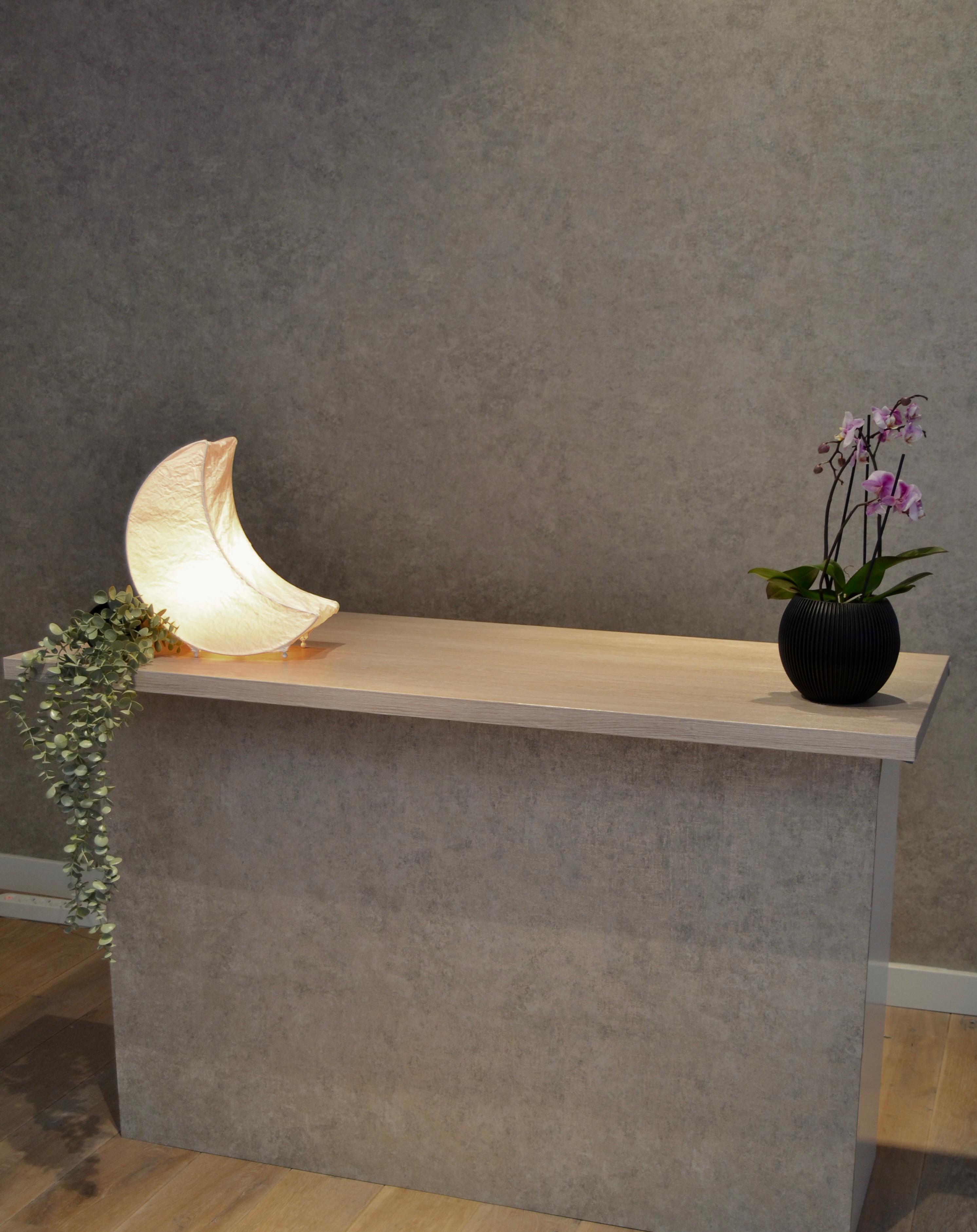 Luna Studio reception desk